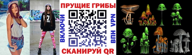 площадка какой сайт  Переславль-Залесский  Галлюциногенные грибы MAGIC MUSHROOMS 